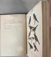 飼鳥集成　着色図編