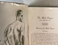 （英文）The Male Figure