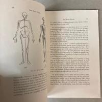 （英文）The Male Figure