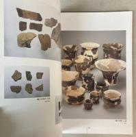 （夏季特別展）奥三面展