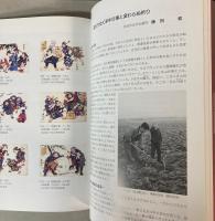 （特別展）祭り　万華鏡―茨城の年中行事　その変様
