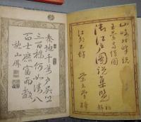 大江戸圖説集覧 : 全/ 橋本[兼]次郎原稿繪圖 ; 山崎久作輯説