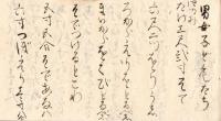 　漬物などの覚留（仮題）
