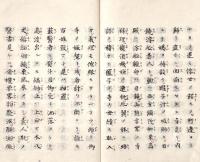 　瞽女口説浮世盛衰記　（内題）