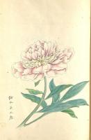 　采　蘋　帖　（前橋、厩橋学校生徒文集原稿綴）