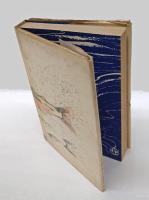 鮎 : その習性と釣り方