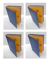 國譯大藏經　論部 第1～４巻　　大智度論解題・国訳大智度論巻（第1～100巻）揃