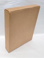 鬼才の画人谷中安規展