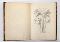 Variae Ac Multiformes Florum Species Appressae Ad Vivum Et Aeneis Tabulis Incisae