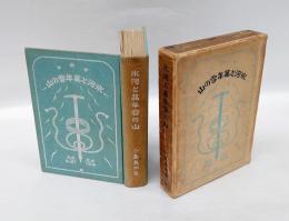 氷河と万年雪の山