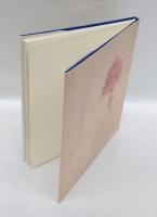 自然の研究 　レオナルド・ダ・ヴィンチの素描 ウィンザー城王室図書館蔵手稿より