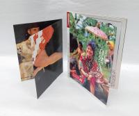 不滅のウルフ　千代の富士貢