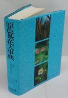 原色茶花大事典