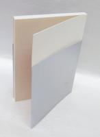 デトロイト美術館展 　大西洋を渡ったヨーロッパの名画たち