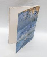数寄：複方言への試み／SUKI：the sense of multi vernacular　　Japan-The 46 Venice Biennale, 1995