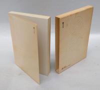 正気と狂気の間 　作家のパトグラフィ