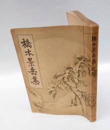 橋本景岳集