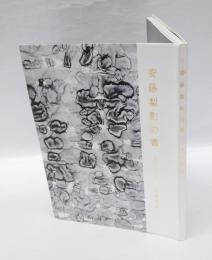 安藤梨影の書　信濃象景　1982-2003