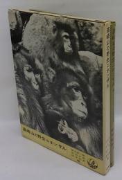 高崎山の野生ニホンザル  餌さづけ10年目の総合調査報告