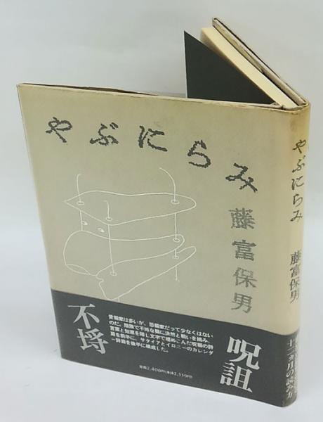 【中古】 やぶにらみ小説講義 中古】 やぶにらみ小説講義