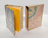 虹の下の街・チェコとチャコ株式会社　 現代ユーモア小説全集 第6巻