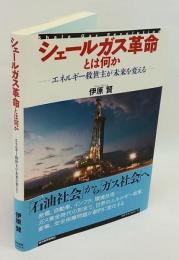 シェールガス革命とは何か　エネルギー救世主が未来を変える