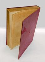 近世染色学　理論応用