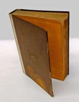 ザイツェフ・ソログーブ傑作集 　露西亜現代文豪傑作集 第3編