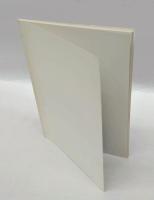 西洋モデルと先端への衝動 　大正期の前衛的美術