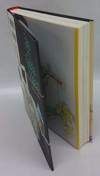 天守物語(泉鏡花 作 宇野亞喜良、山本タカト 画) / 古本、中古本、古