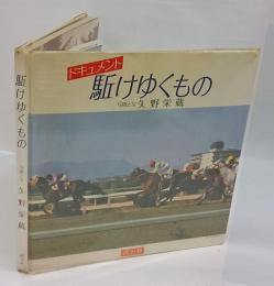 駈けゆくもの 　ドキュメント