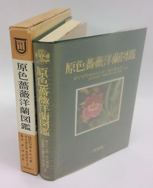 原色薔薇洋蘭図鑑 保育社の原色図鑑 第11 塚本洋太郎 等共著 岩森書店 古本 中古本 古書籍の通販は 日本の古本屋 日本の古本屋 原色薔薇洋蘭図鑑 保育社の原色図鑑 第11 塚本洋太郎 等共著 岩森書店 古本 中古本 古書籍の通販は 日本の古本屋 日本の古本屋