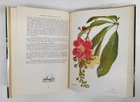 Flowering trees and shrubs in India　ハードカバー