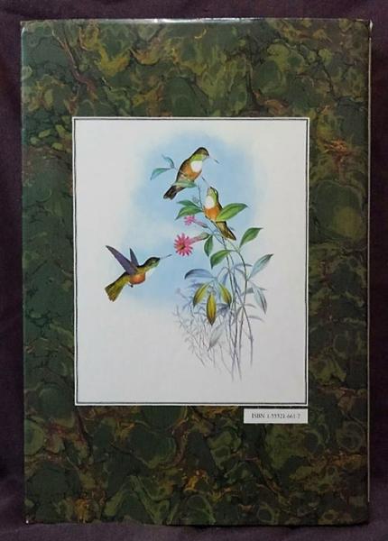 John Gould S Hummingbirds ハチドリ ハードカバー John Gould 岩森書店 古本 中古本 古書籍の通販は 日本の古本屋 日本の古本屋