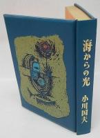 海からの光