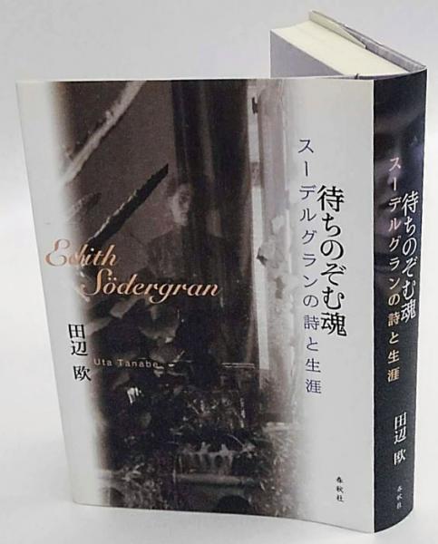 映画記号学の諸問題 叢書記号学的実践8(クリスチャン・メッツ