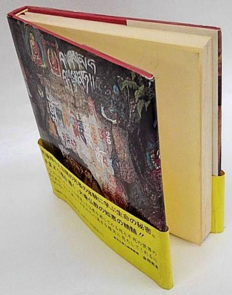 チベットの死者の書 : バルド・ソドル(おおえまさのり 訳編) / 古本 