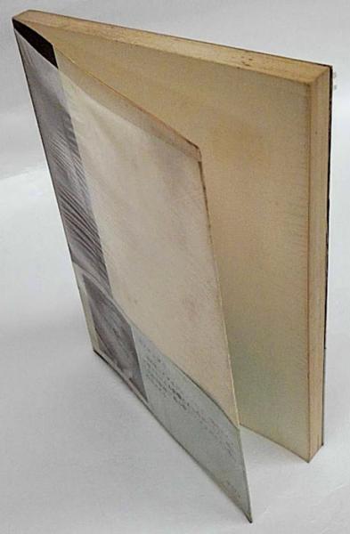大理石の断崖の上で 現代の文学(ユンガー 作 相良守峯 訳