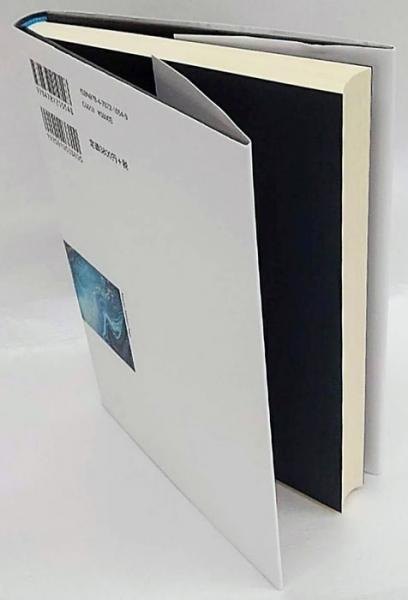 メルロ=ポンティの美学 芸術と同時性(川瀬智之) / 古本、中古本、古