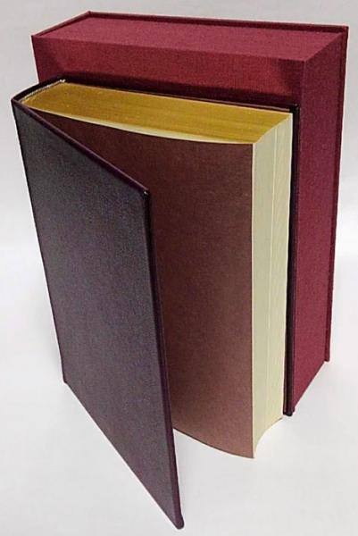 Amazon.co.jp: 狂風記(上) (狂風記) (集英社文庫) : 石川 淳: 本