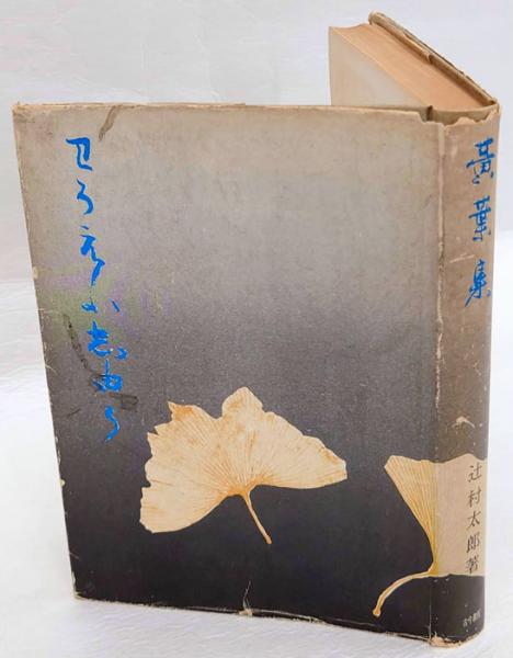 四条宮下野集全釈 私家集全釈叢書 25(安田徳子 平野美樹) / 岩森