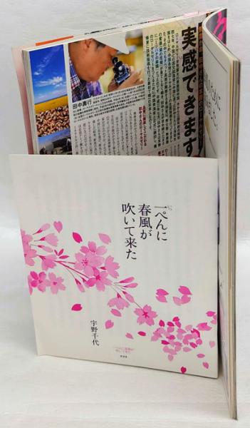 【中古】 宇野千代の世界　決定版 宇野千代の世界 : 決定版 : 生誕110年没後10年特別企画(レブン 編