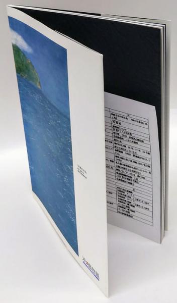 海の正倉院」沖ノ島 : 宗像大社神宝館沖ノ島大国宝展記念(宗像大社文化 