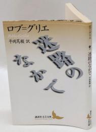 迷路のなかで　講談社文芸文庫