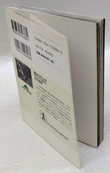 軽井沢心中 光文社文庫 アラキグラフ 創刊号(荒木経惟) / 古本、中古本