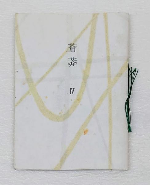 エルギン卿中国日本使節日記 第八代エルギン伯爵の書簡および