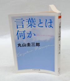 言葉とは何　　ちくま学芸文庫