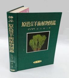 原色日本羊歯植物図鑑　保育社の原色図鑑 第24