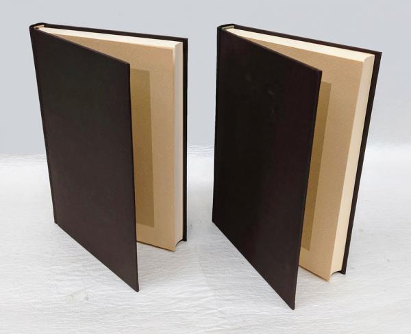 定家明月記私抄 正続(堀田善衛) / 古本、中古本、古書籍の通販は