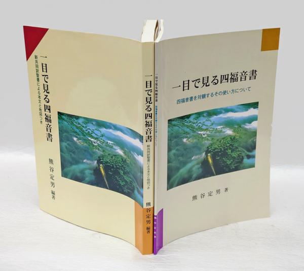 一目で見る四福音書 「新共同訳聖書による本文と地図つき」、「四